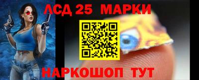 молекула духа Будённовск