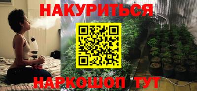 молекула духа Будённовск