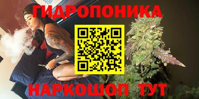 молекула духа Будённовск