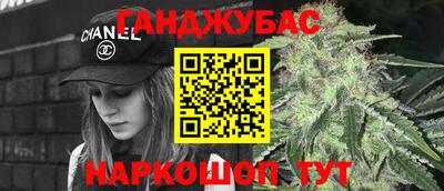 молекула духа Будённовск