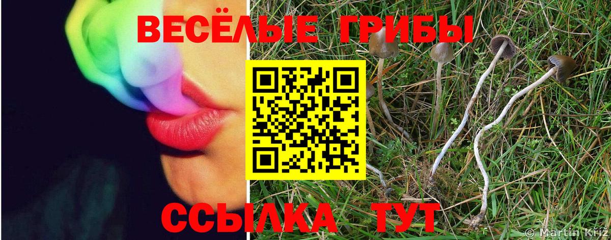 Псилоцибиновые грибы мицелий  Вход с VPN  Пыть-Ях 